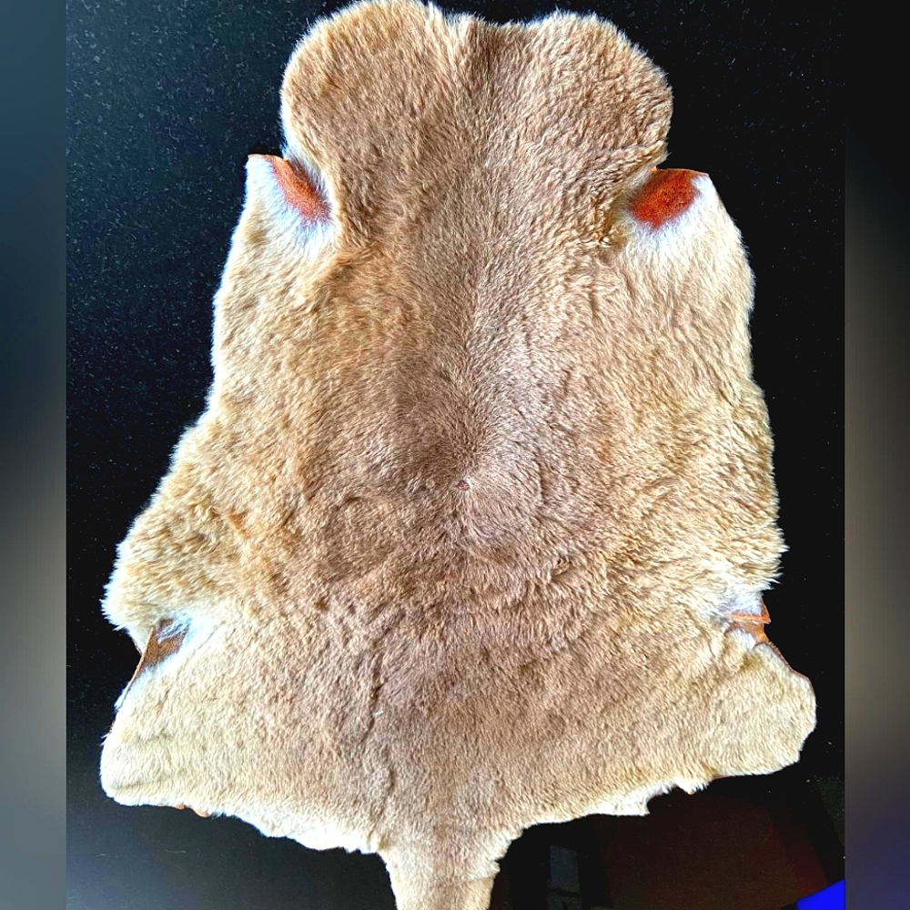 Genuine Baby kangaroo Skin rug taxidermia imported from Australia